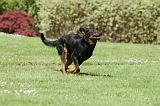 BEAUCERON 830